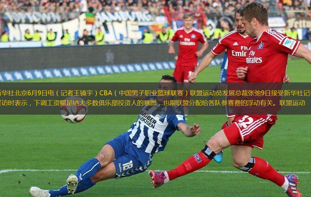 都让黄蜂防